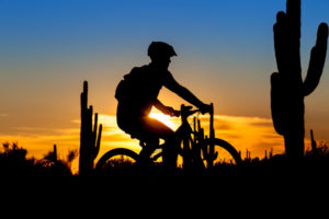 A Silhouette of a Mountain Biker during sunset at the Arizona desert.