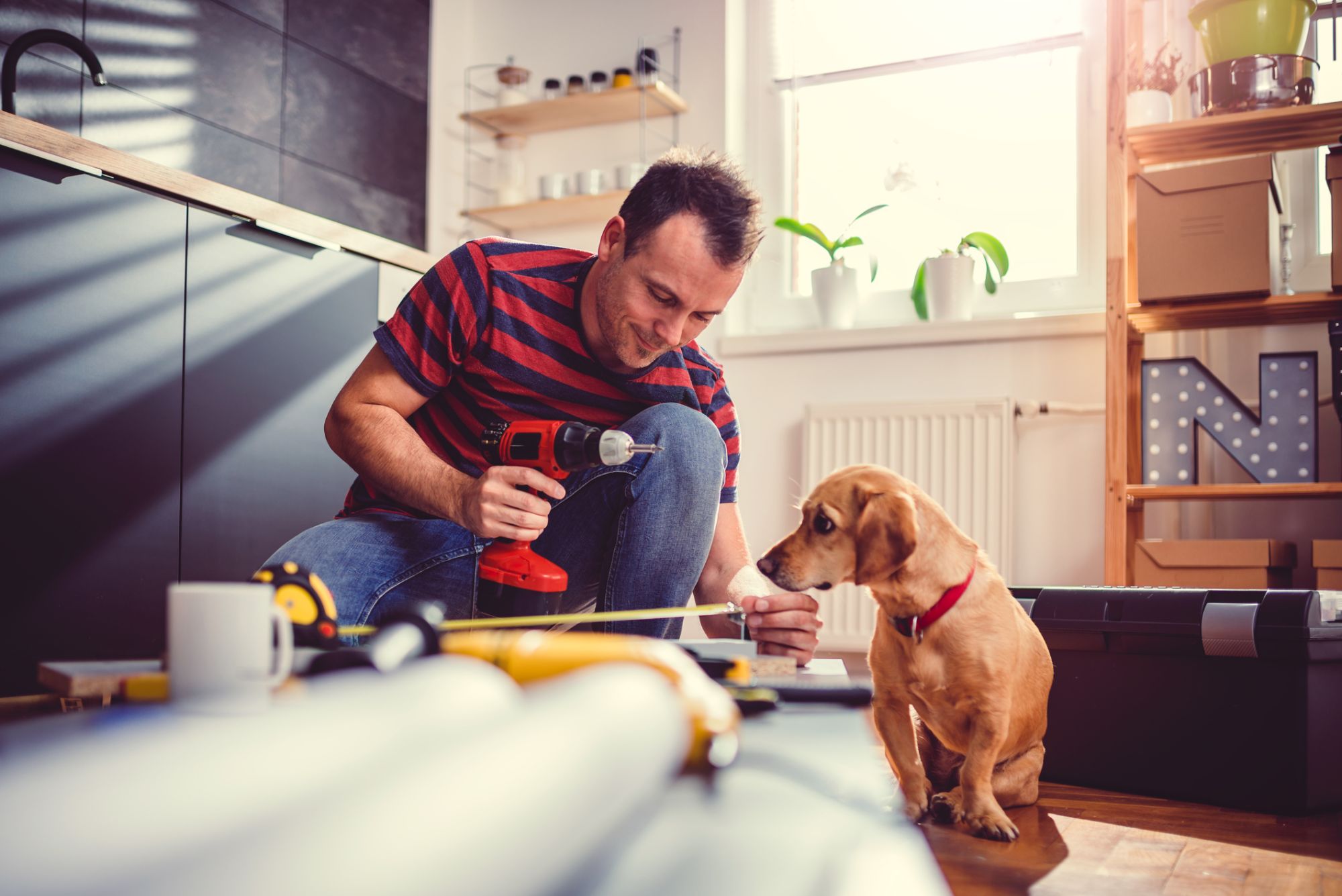 man fixing their house with his dog